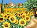 Les tournesols