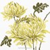 LIME GREEN FLOWER II sur toile Etamine 10.5 fils