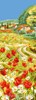 Les coquelicots