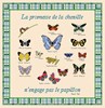 Collection de papillons