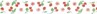 Biais cerises rouleau 20M repli en 2 de largeur 20-9.5mm