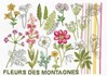 j'aime les fleurs des montagnes