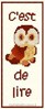 Chouette sur toile aida 7.0