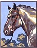 Cheval Gris