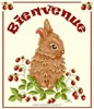 BIENVENUE LAPIN sur toile aida 7.0