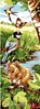 Animaux sauvages