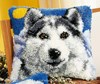 Coussin point noué Husky